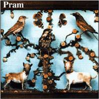 Pram : The Museum Of Imaginary Animals